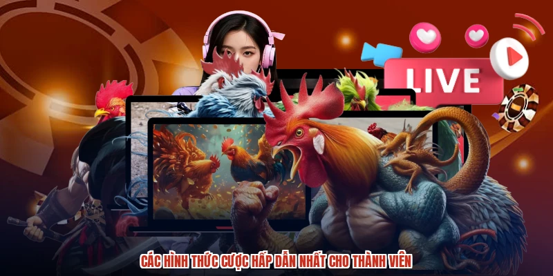 Các hình thức cược hấp dẫn nhất cho thành viên