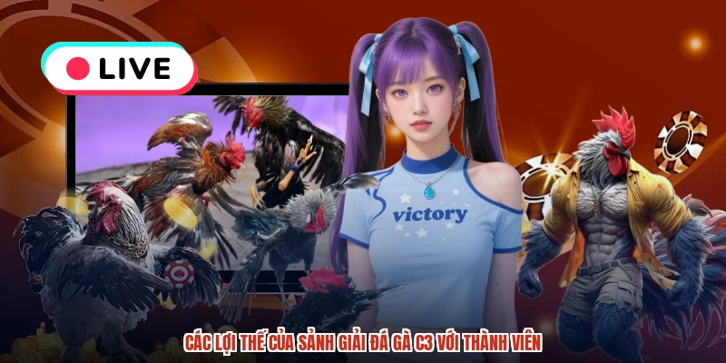 Các lợi thế của sảnh giải đá gà C3 với thành viên