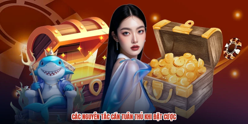 Các nguyên tắc cần tuân thủ khi đặt cược
