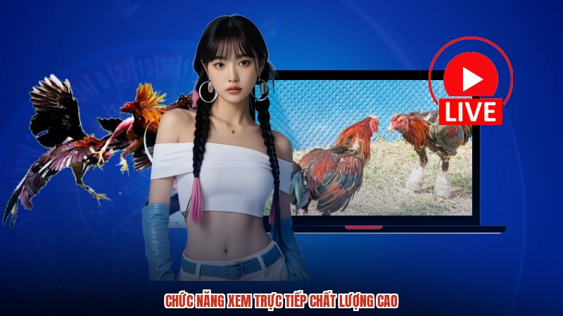 Chức năng xem trực tiếp chất lượng cao