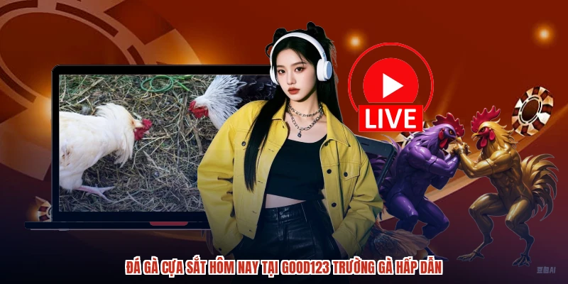 Đá Gà Cựa Sắt Hôm Nay Tại GOOD123 Trường Gà Hấp Dẫn