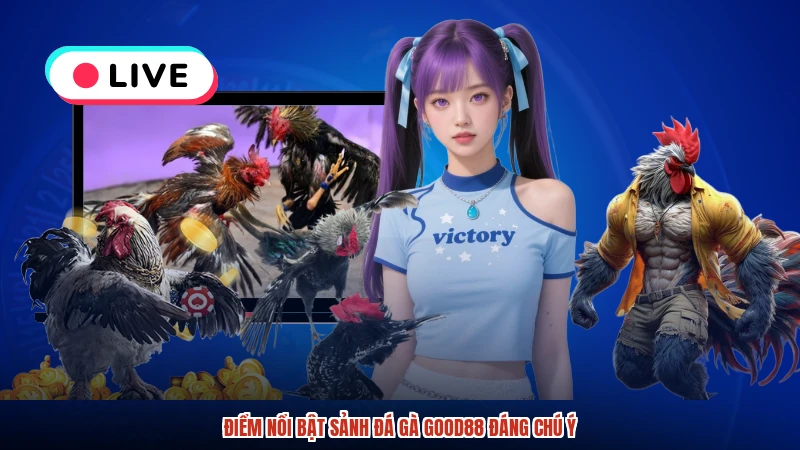 Điểm nổi bật sảnh đá gà GOOD88 đáng chú ý