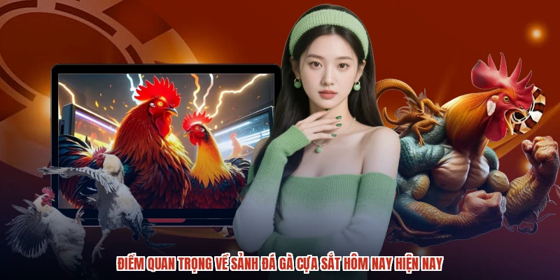 Điểm quan trọng về sảnh đá gà cựa sắt hôm nay hiện nay