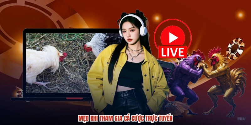 Mẹo khi tham gia cá cược trực tuyến