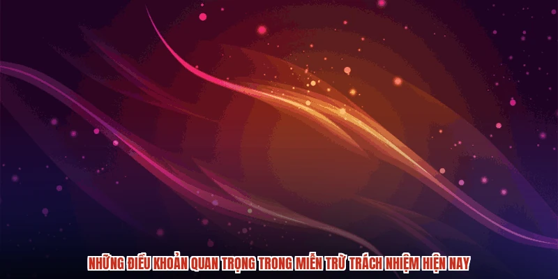 Những điều khoản quan trọng trong miễn trừ trách nhiệm hiện nay