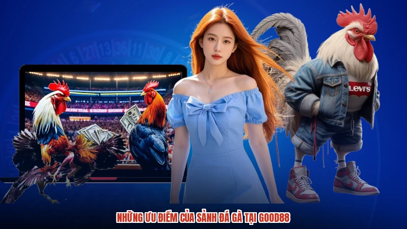 Những ưu điểm của sảnh đá gà tại GOOD88