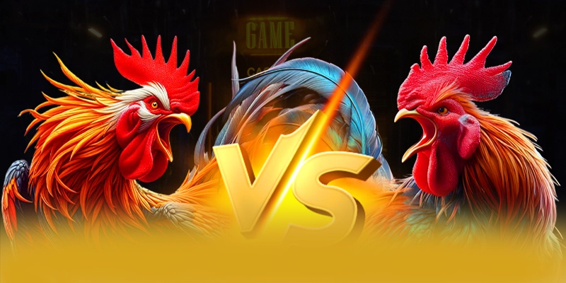 8XBET - San choi quy tu nhieu sieu pham hot 2025